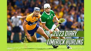 How Limerick won the All Ireland (2023) #hurling #gaa