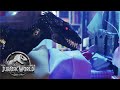 Blue vs. Indoraptor (Sweded) | Jurassic World: Fallen Kingdom | Mattel Action!