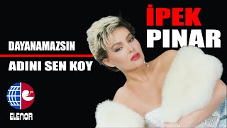 İpek Pınar - Kar Tanesi Resimi