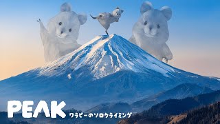 ワラビーのソロクライミング