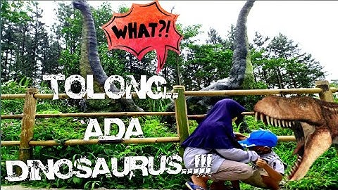 DINOLAND, WOW!!! DINOSAURUS ADA  DI D