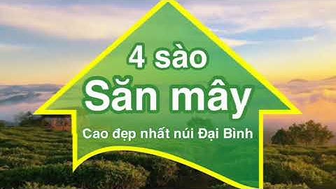 SĂN MÂY trên Đồi chè đỉnh núi cao đẹp nhất Đại Bình view tp Bảo Lộc | #homestay #săn_mây #nghĩ_dưỡng