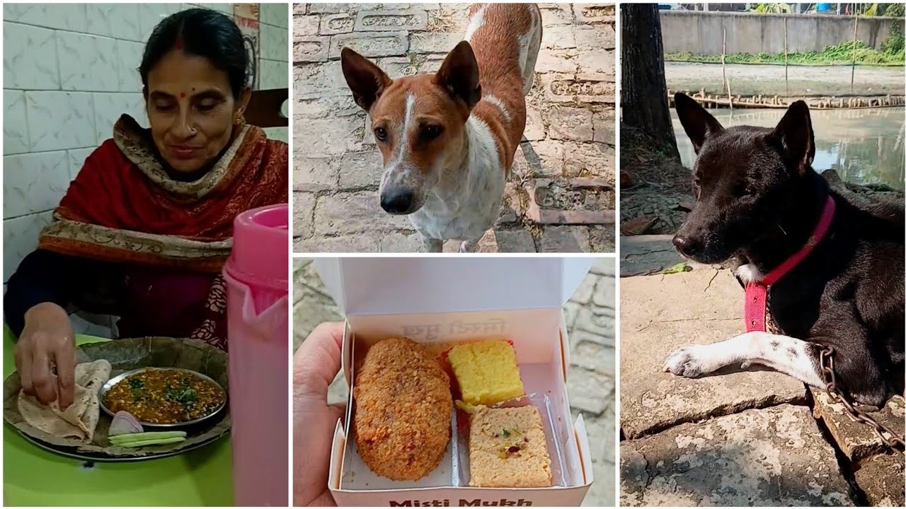 আজ যাওয়া হলো আমাদের বিখ্যাত মোটাদার হোটেলে 😁😋😋