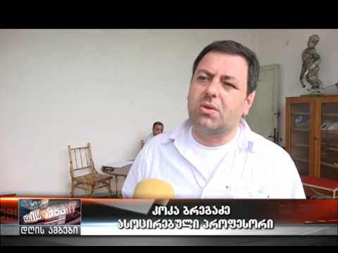 კოკა ბრეგაძის საჯარო ლექცია-20.05.15