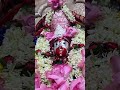 তোমাকে ছেড়ে আমি ।। tomake chere Ami #taramaa #joymatara #joybabamoni #kalimaa #maa #9bcreation