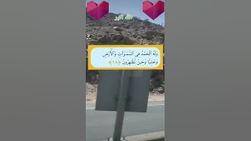سورة الروم ،اية، ١٧،،١٩