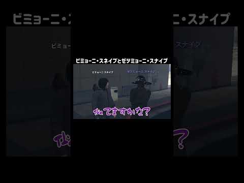 【GTA5】ビミョーニ・スネイブとゼツミョーニ・スナイプ【シミュグラ4/切り抜き】
