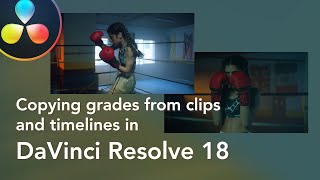 Famous Copying grades from clips and timelines in DaVinci Resolve 18 Wealth