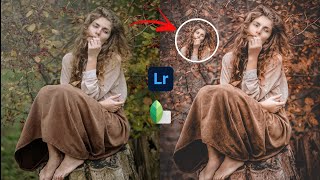 Orange Colour Tone || Lightroom Photoshop Tutorial Colour Grading in Lightroom And Snapseed. screenshot 3