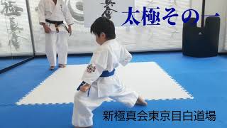 キッズ空手入門【型 太極その1】 解説付き