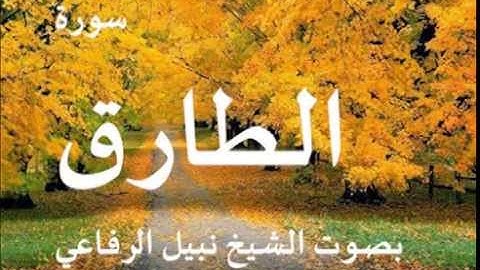 سورة الطارق بصوت الشيخ / نبيل الرفاعي 86