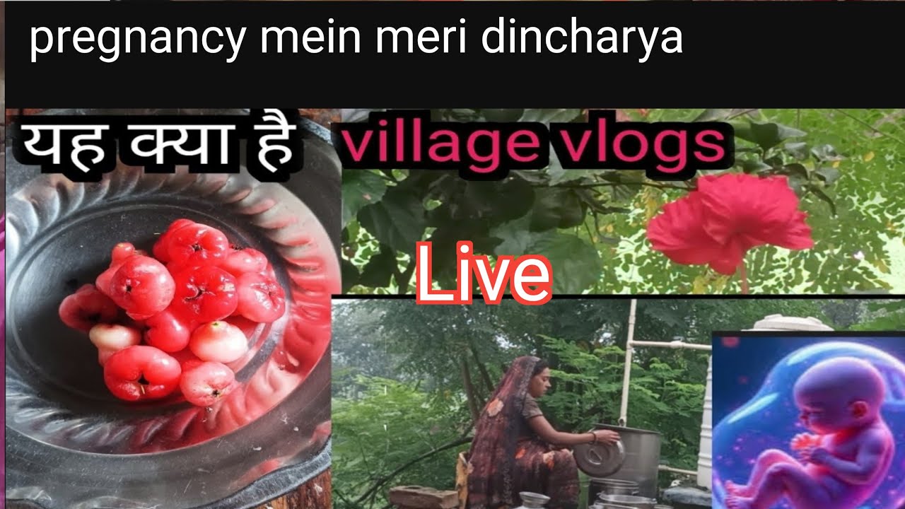 8 माह की प्रग्नेंसी वीडियो 🔥  Last month pregnancy vlog #pregnanc#live #livestream #village#video