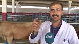 Kurban Alacak Vatandaşlara Uyarılar