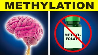 How To Support Methylation Without Methyl Donor Supplements