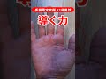 【手相実例】52歳男性、人を導く力が強い会社員の手相 #shorts #手相
