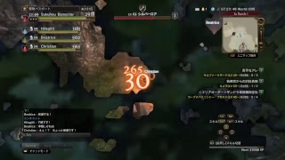［DDON］67 シーカーlv.49 　ミスリス森林深部