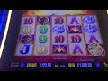 Black oak casino buffalo jackpot