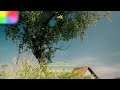 Color Grade with Comeback Kid (Film Emulation) + BMPCC OG