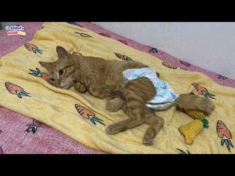Wearing DIAPERS his whole life... a warm hug proved he wasn't a burden