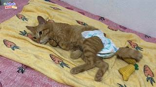 Wearing DIAPERS his whole life... a warm hug proved he wasn't a burden screenshot 1