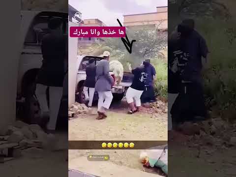 خذها وانا مبارك تابع مع معتوق الزهراني لايك ومتابعة وشير