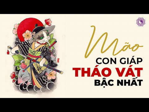 Video: Tuổi Mèo Theo Tiêu Chuẩn Của Con Người: Bảng Nhân Duyên Với Người, Cách Tính