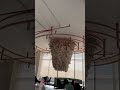 مطعم مزاميز في الرياض