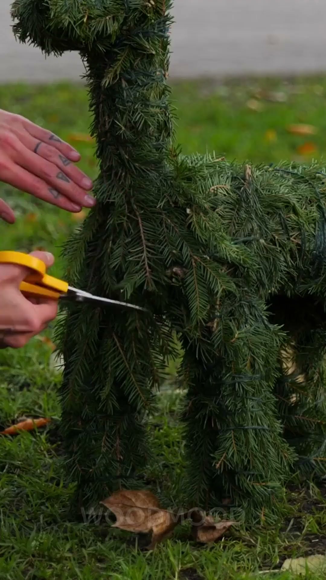 Unique Natural Christmas Decoration Idea You’ll Love! ??