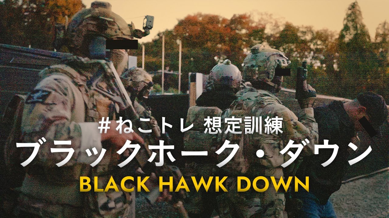 【想定訓練】ブラックホーク・ダウン【ねこトレ】