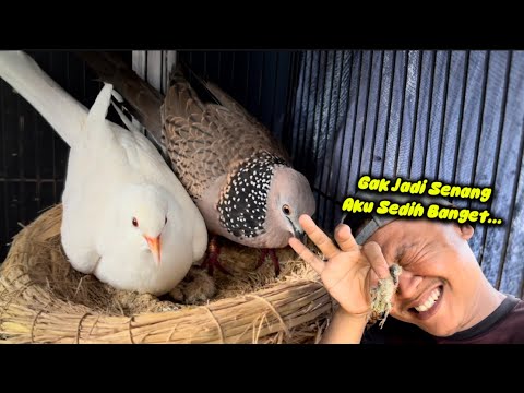 Dua tahun menanti Momen ini,, malah kenyataan pahit yang kuterima 😭😭😭
