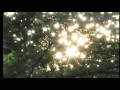 キラキラKirakira 小田和正