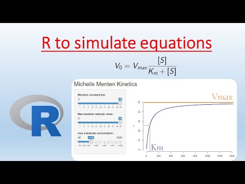 R programming at work: Simulate equations