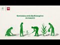 Explainer video: Η δύσκολη «εξίσωση» της αναδάσωσης και της δενδροφύτευσης σε καμένες περιοχές