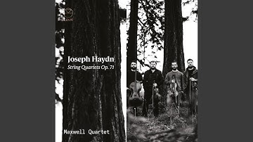 String Quartet in D Major, Op. 71 No. 2: II. Adagio cantabile