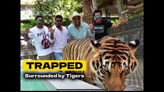 Tiger Park Thailand -Jungle Safari Thailand #travel #vlog #phuket #pattaya #travelvlog