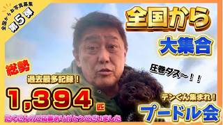 【全国から大集合!】プードル会