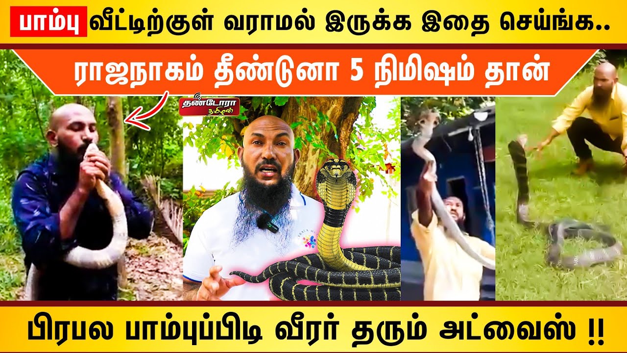 பாம்பு வீட்டிற்குள் வராமல்  இருக்க இதை செய்ங்க | பிரபல பாம்புப்பிடி வீரர் தரும்  அட்வைஸ்  |