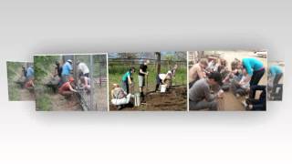 Animal Volunteer | Monkeyrehabilitation