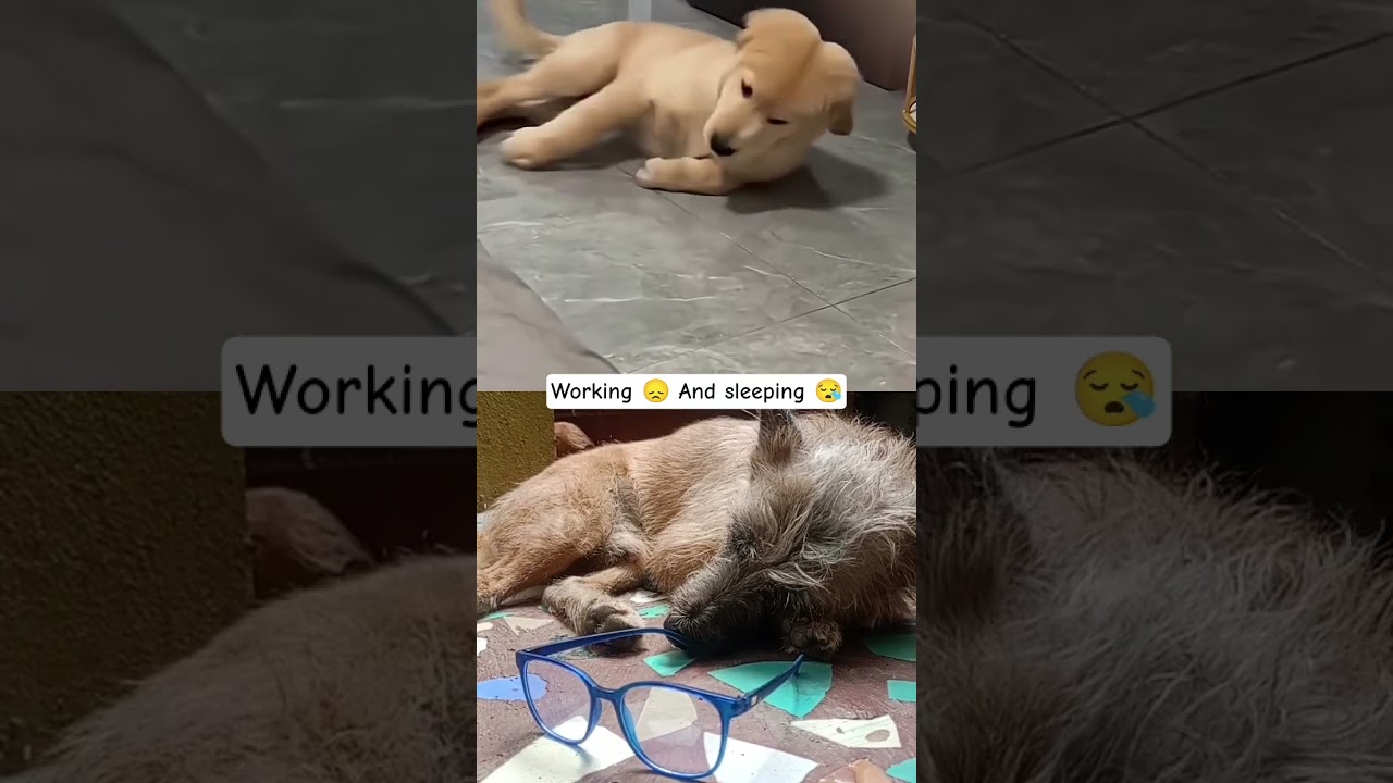 #viewskaisebadhaye #viralvideo #viralshortvideo #viralshortvideo #viewskaisebadhaye #shortsvideo