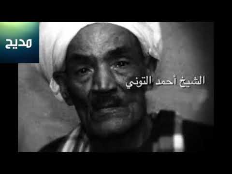 الشيخ احمد التوني قلبي الحزين