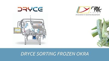 Dryce sorting machine for frozen okra | Raytec Vision