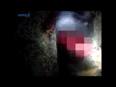 Μεσσηνία: Συνέλαβαν παπά γιατί  σκότωσε το σκύλο του (σκληρό βίντεο)