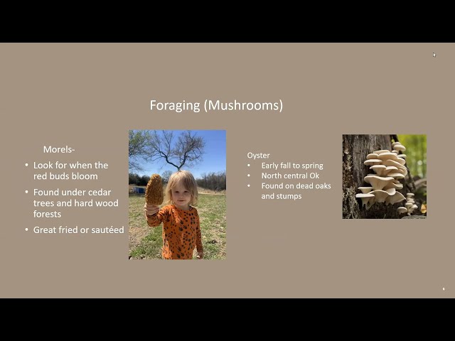 Watch Learn to Hunt- Scouting, Shed Hunting, and Foraging on YouTube.