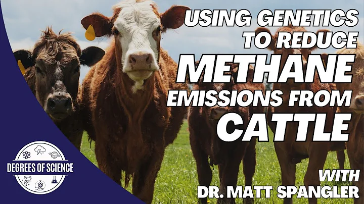 Using Genetics to Reduce Methane Emissions From Cattle