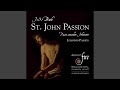 Miniature de la vidéo de la chanson Johannes-Passion, Bwv 245, Part Two: Xxvi. "In Meines Herzens Grunde"