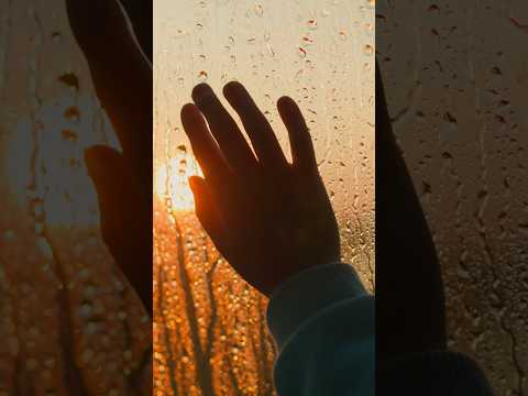 DUCO AAMIN Ciyaalxamar Arewa Qarama Greenscreen