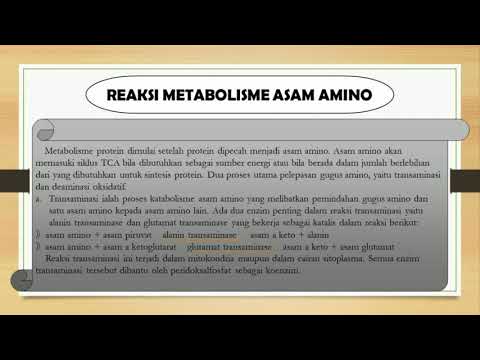 (Kelompok 2) Kelainan Metabolisme Asam Amino Dengan Penyakit Urine Sirup Maple (Biokimia)