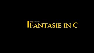シューマン：幻想曲 ハ長調（Fantasie C-Dur）作品17 「第3楽章」