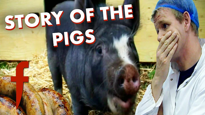 The Story of The Pigs | The F Word