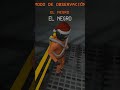 Mi amigo haciendo parkour